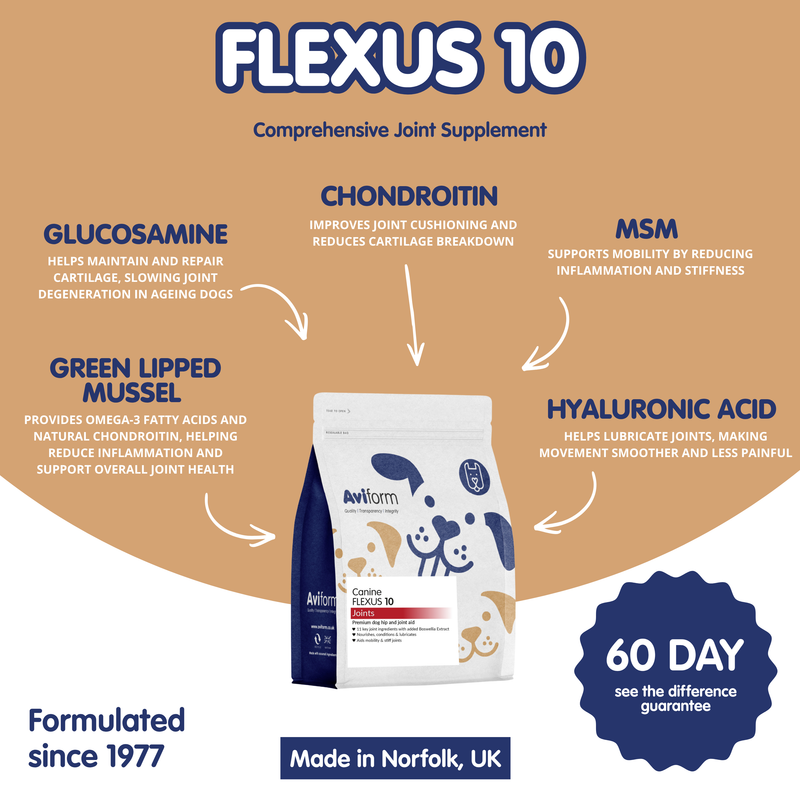 Flexus 10 | Premium Hip and Joint Supplement for Dogs