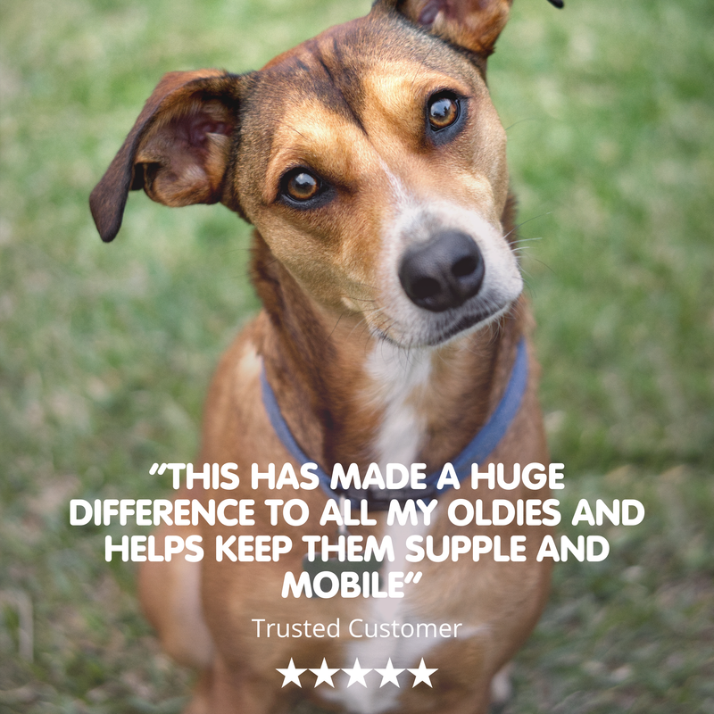 Flexus VS | Ultimate Dog Hip and Joint Supplement
