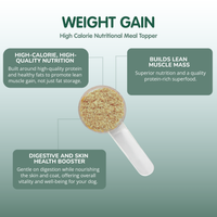 Weight Gain | Weight Gain Supplement for Dogs