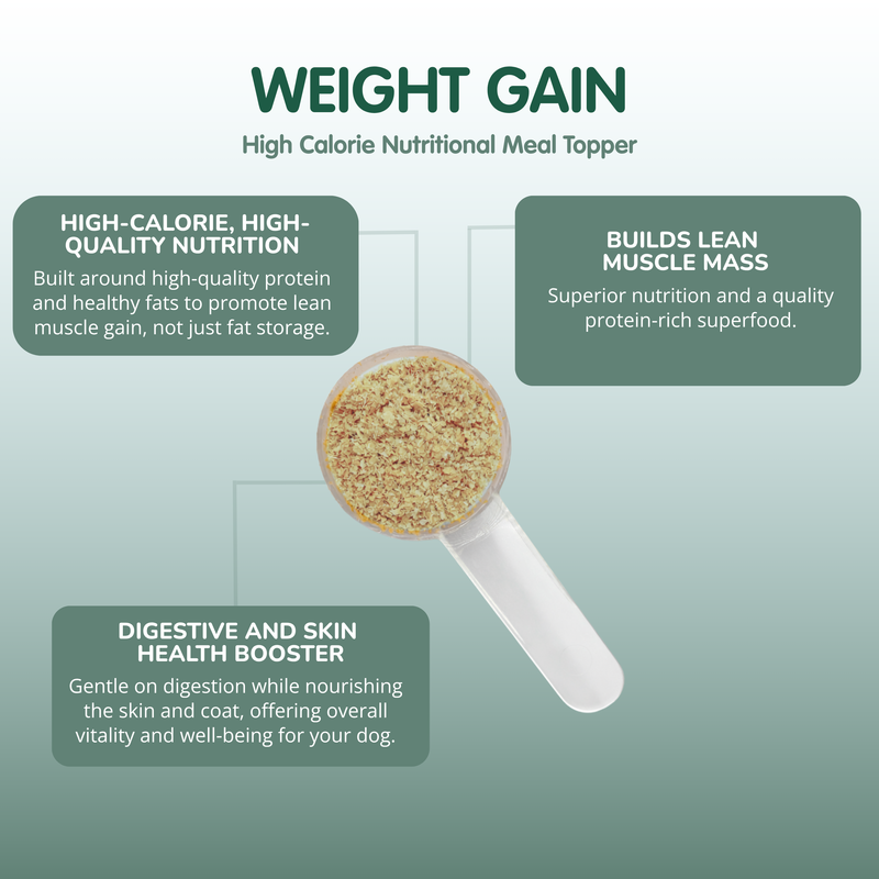 Weight Gain | Weight Gain Supplement for Dogs