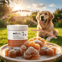 Beef Bone Broth | Powder Supplement for Dogs