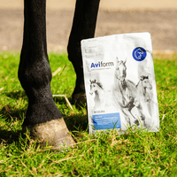 Biodura | Biotin Hoof Supplement for Horses