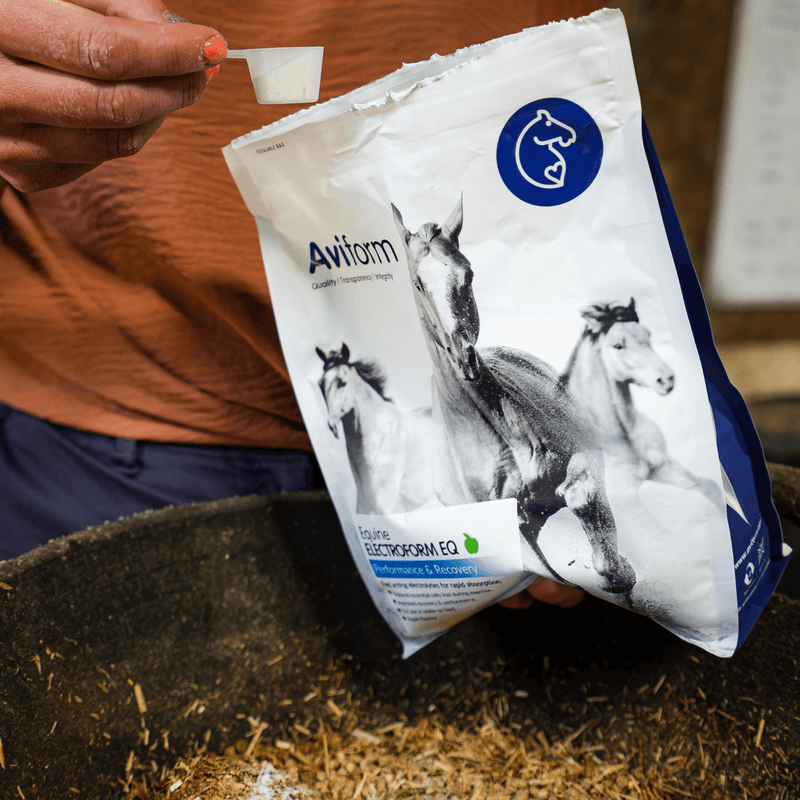 Electroform EQ | Equine Electrolytes