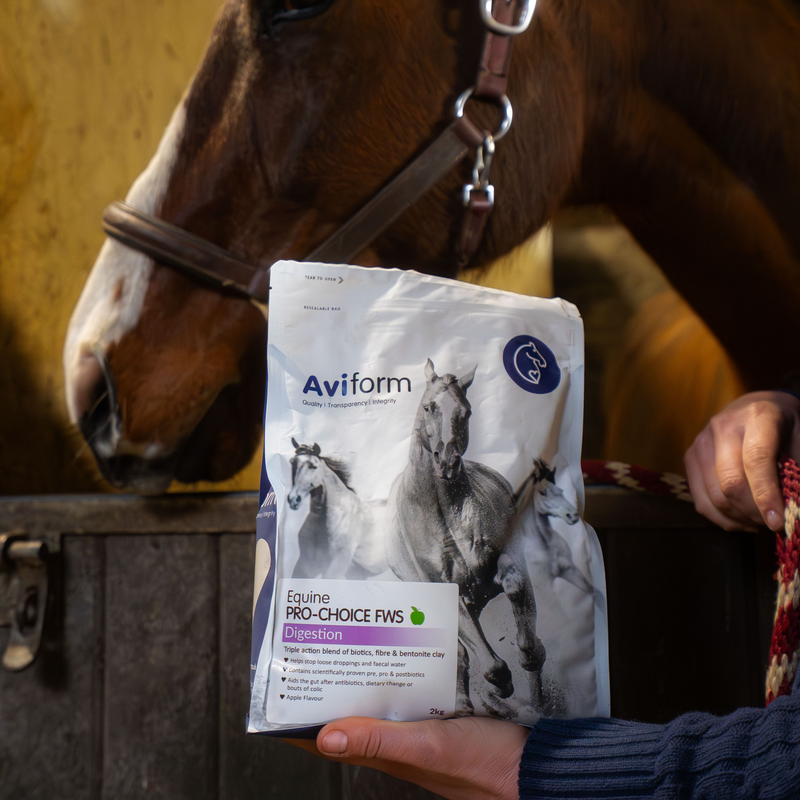 Pro-Choice FWS | Faecal Water Supplement For Horses