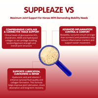 Suppleaze VS | Ultimate Equine Joint Supplement
