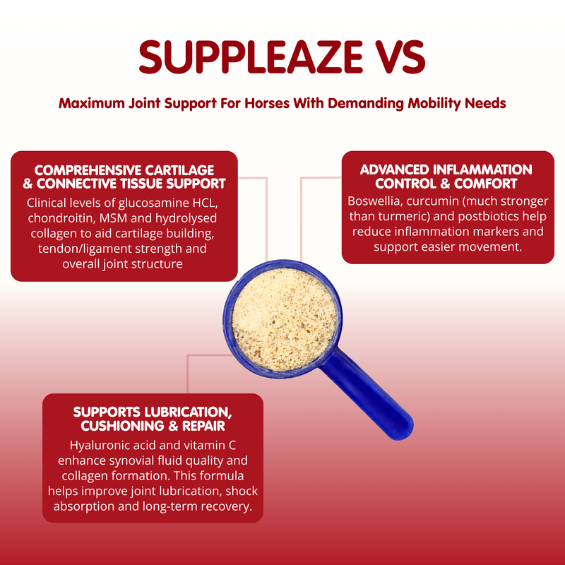 Suppleaze VS | Ultimate Equine Joint Supplement