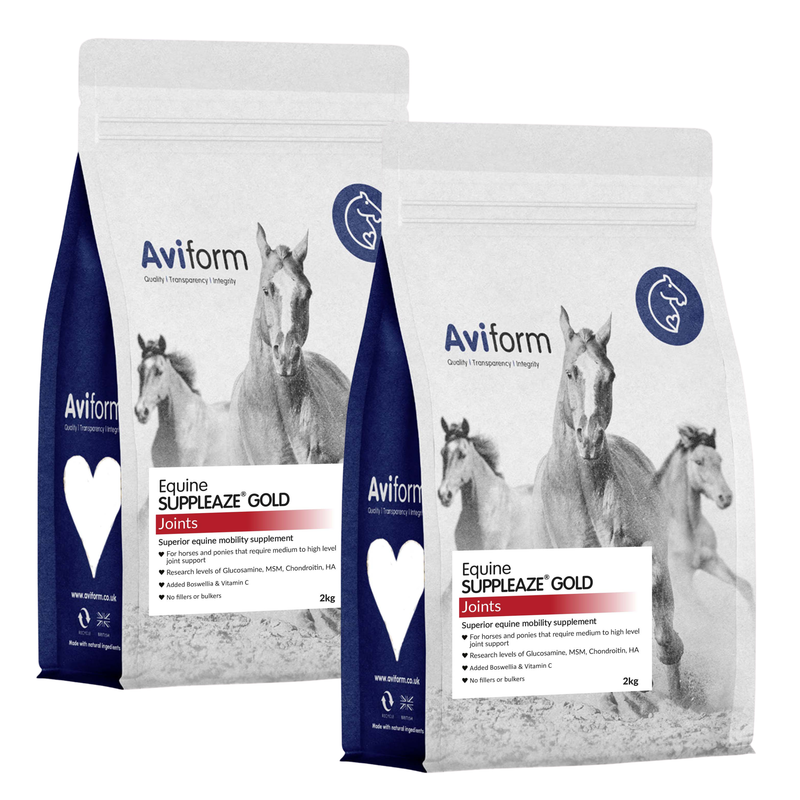 Suppleaze Gold Horse Joint Supplement | Aviform Suppleaze Gold Horse Joint Supplement | Aviform