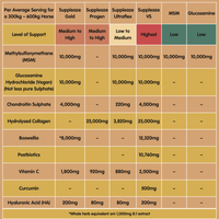 Suppleaze Gold | Horse Joint Supplement