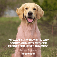 Montytummy Customer Review