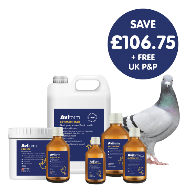 Power Pack | Multipack for Racing Pigeons - 1