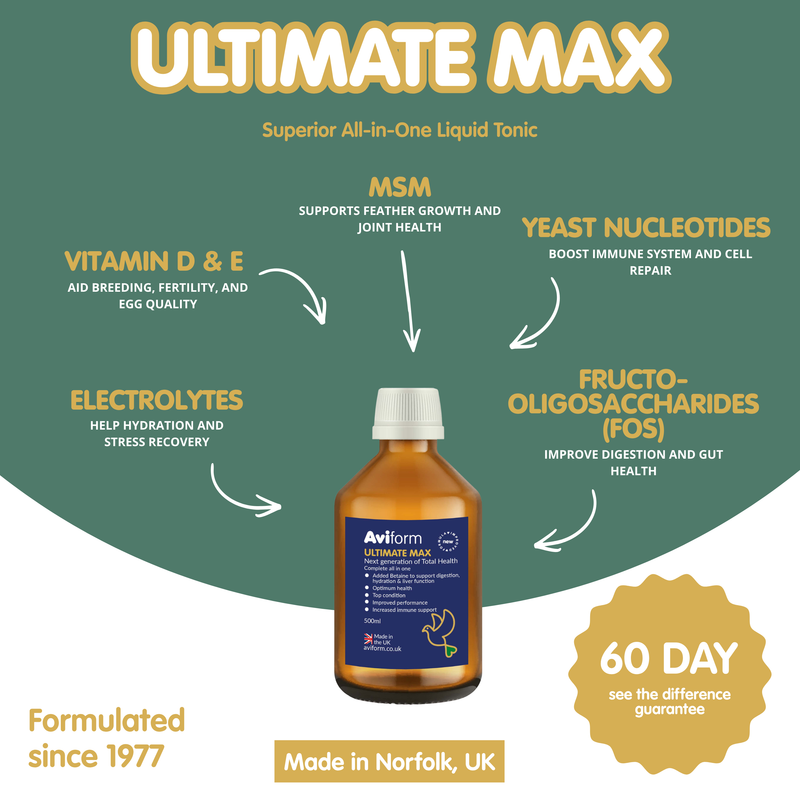AVIFORM ULTIMATE MAX Complete Supplement for Racing Pigeons