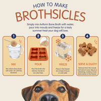 Beef Bone Broth | Powder Supplement for Dogs