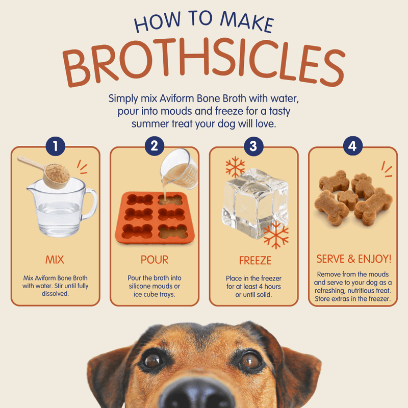 Beef Bone Broth | Powder Supplement for Dogs