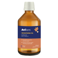 WHEATGERM OIL For Racing Pigeons
