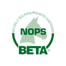 Aviform - BETA NOPS Logo