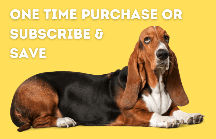 dog skin conditioner