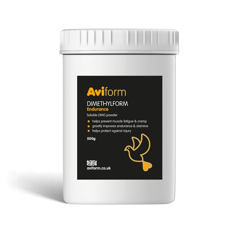 dmg supplement benefits dmg supplement benefits