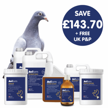Hyper Multipack for Racing Pigeons