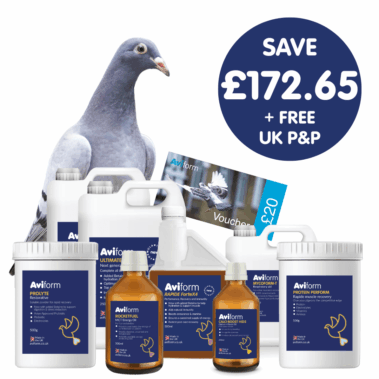Hyper Pack | Multipack for Racing Pigeons