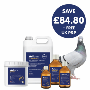 Power Pack Racing Pigeon Multipack