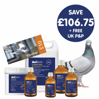 Power Pack | Multipack for Racing Pigeons