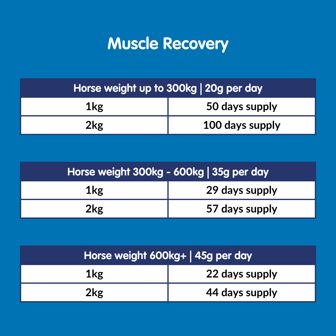 Build Up Days Supply