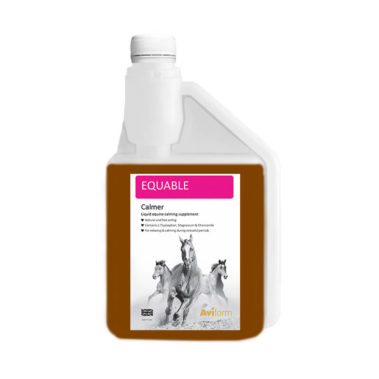 Equable 1000ml