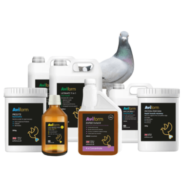 Racing Pigeon Hyper Pack