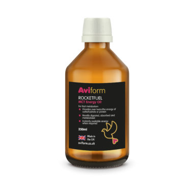 MCT Energy Oil for Racing Pigeons