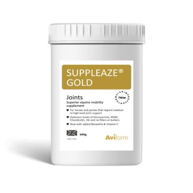 Suppleaze Gold Horse Joint Supplement