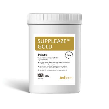 Suppleaze Gold Horse Joint Supplement Aviform