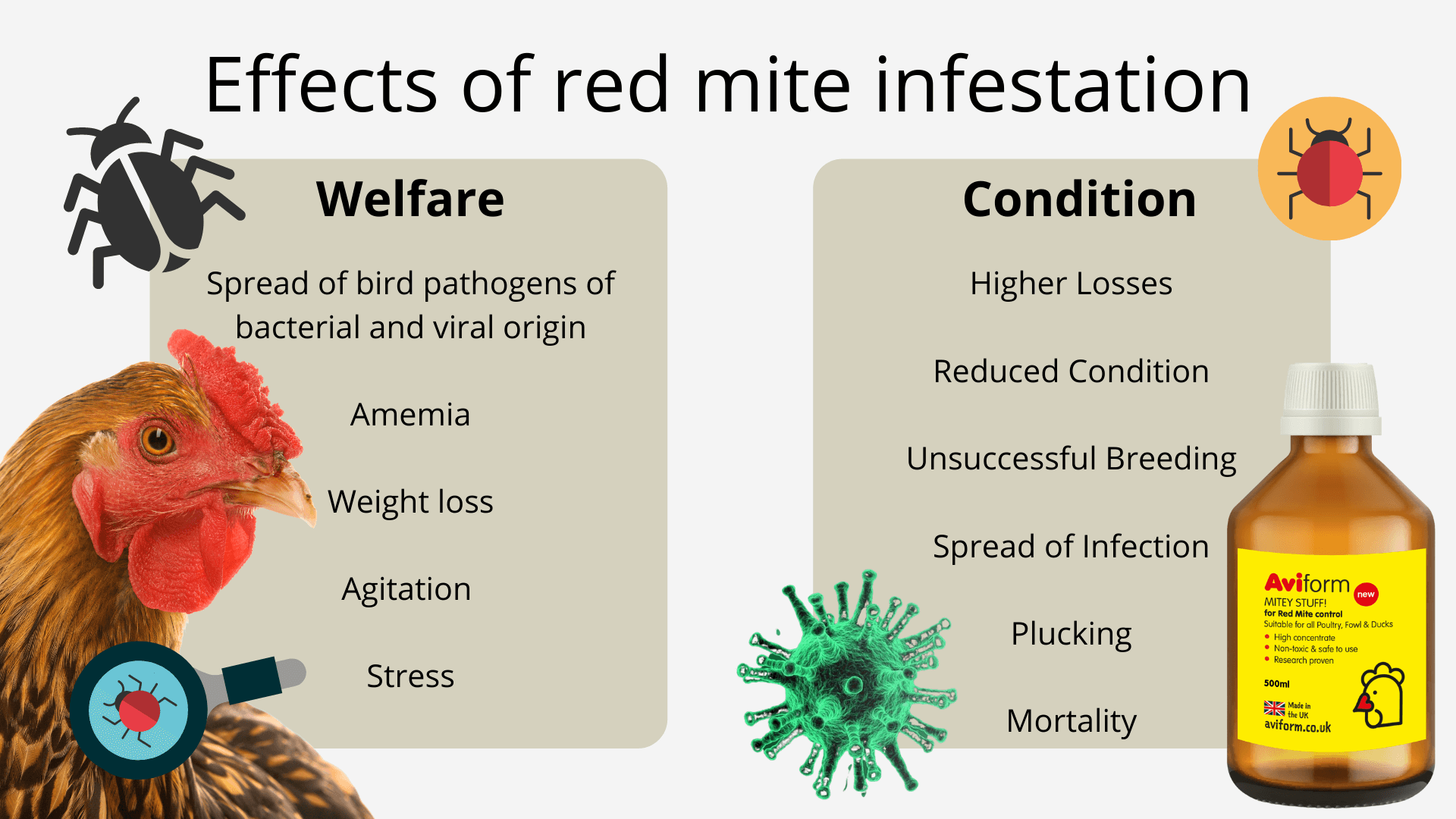 Mitey Stuff Infographic