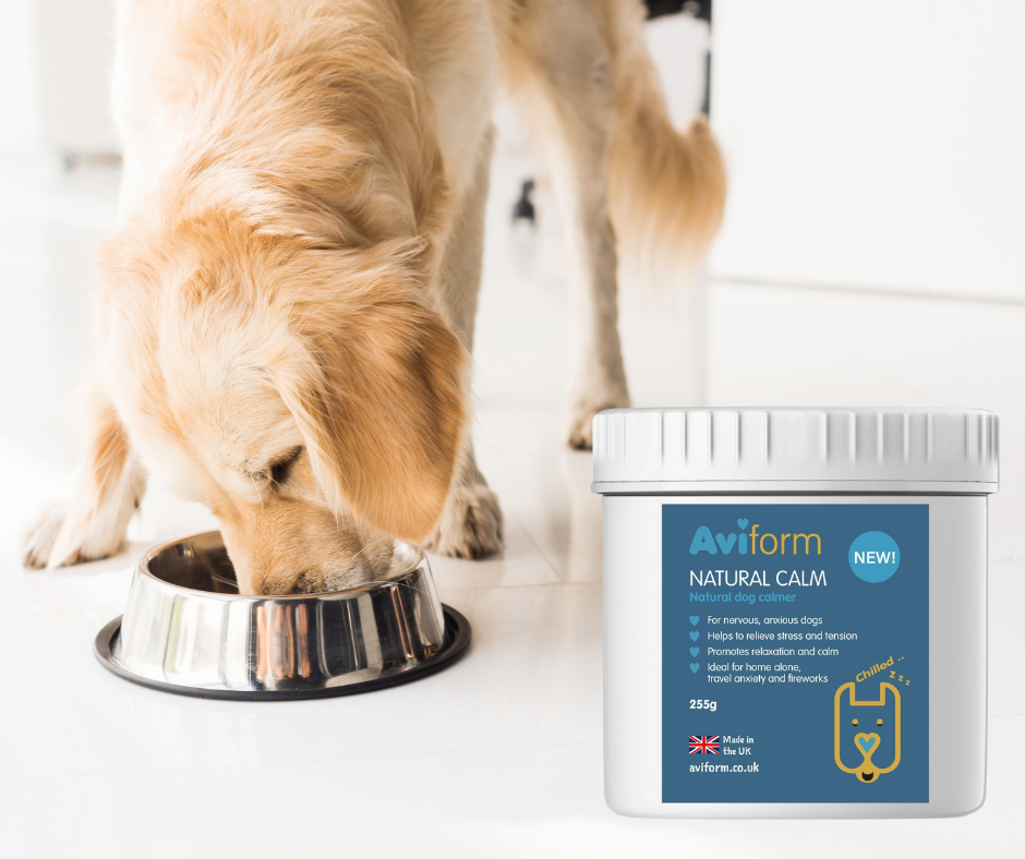 Dog eating and Natural Calm supplement
