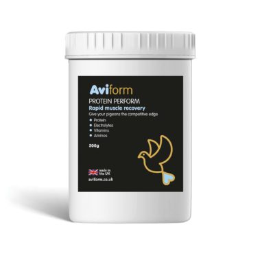 Protein Perform 500g tub