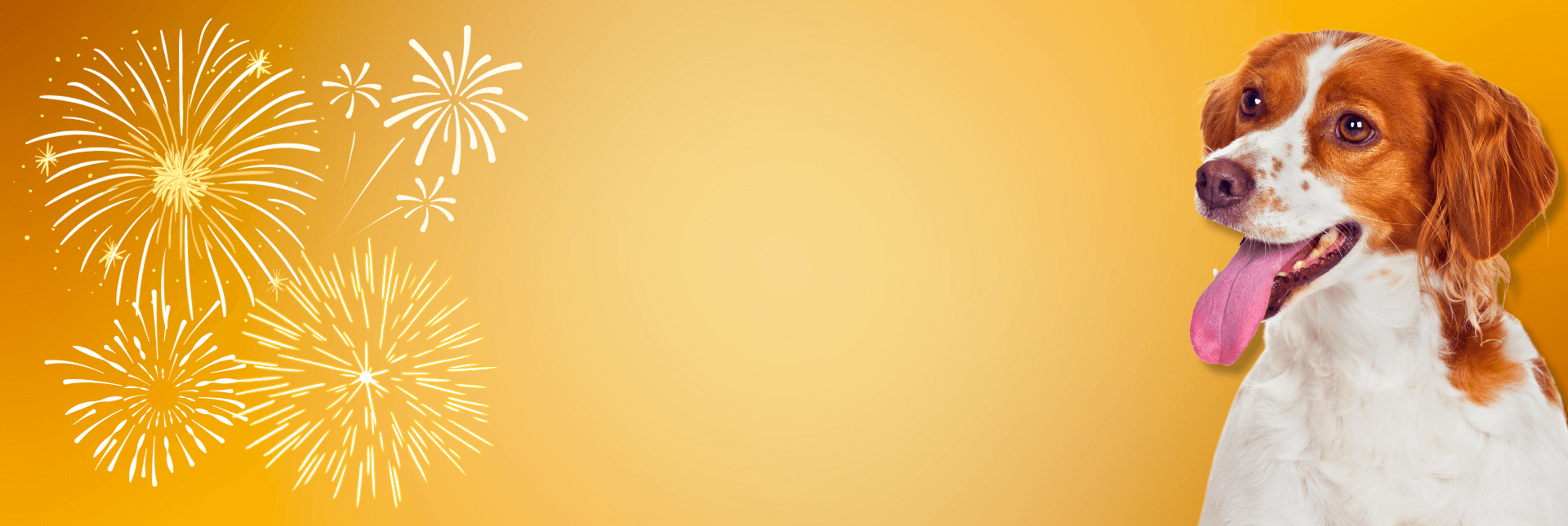 Dog Fireworks Banner