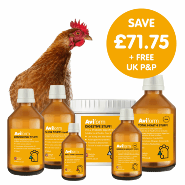 Flock Wellness Pack | Multipack for Chickens