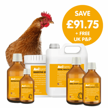 Flock Wellness Pack | Multipack for Chickens