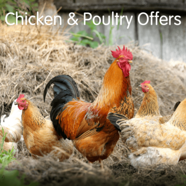 Poultry Offers
