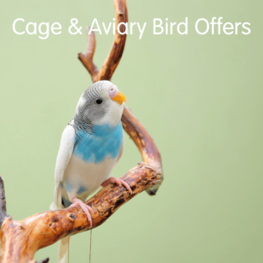 Cage & Aviary Bird Offers