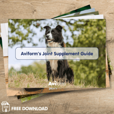 Dog Joint Leaflet