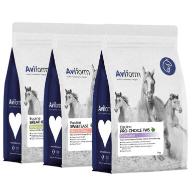 Winter Supplement Bundle for Horses