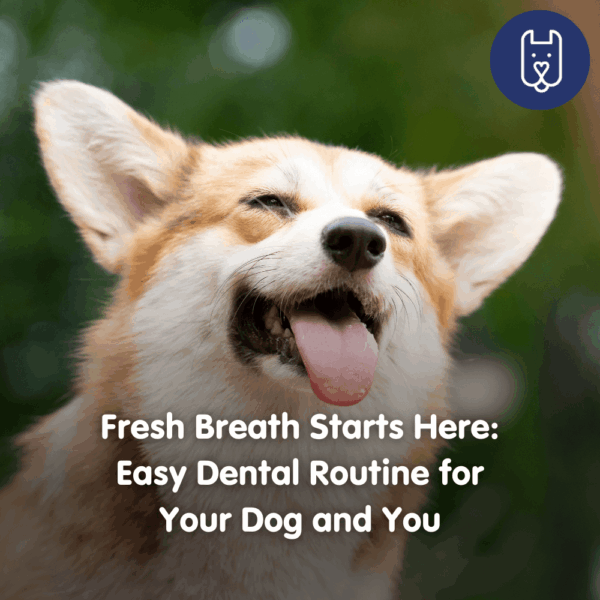 Fresh Breath Starts Here: Easy Dental Routine for Your Dog and You